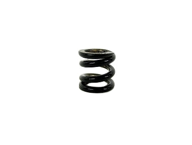 Bully Clutch Spring - Black (.085